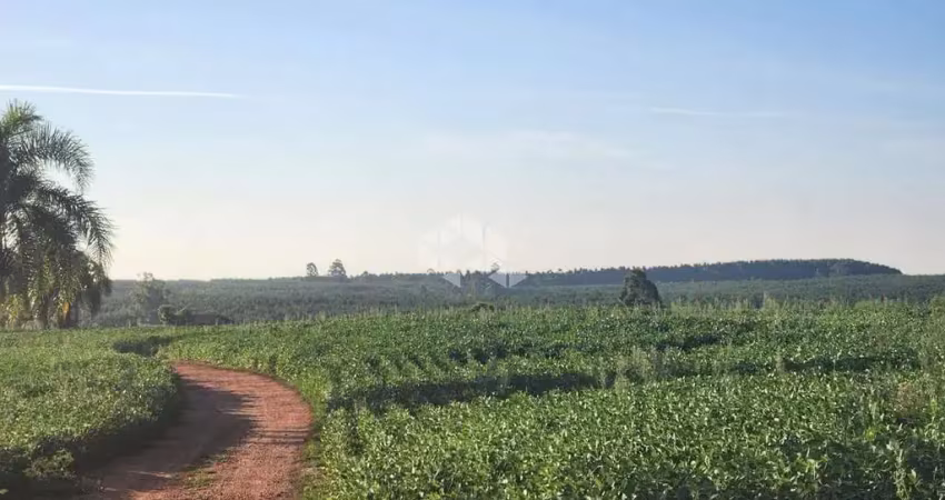 Fazenda à venda na Rodovia BR 290, 5600, Parque Guaíba, Eldorado do Sul
