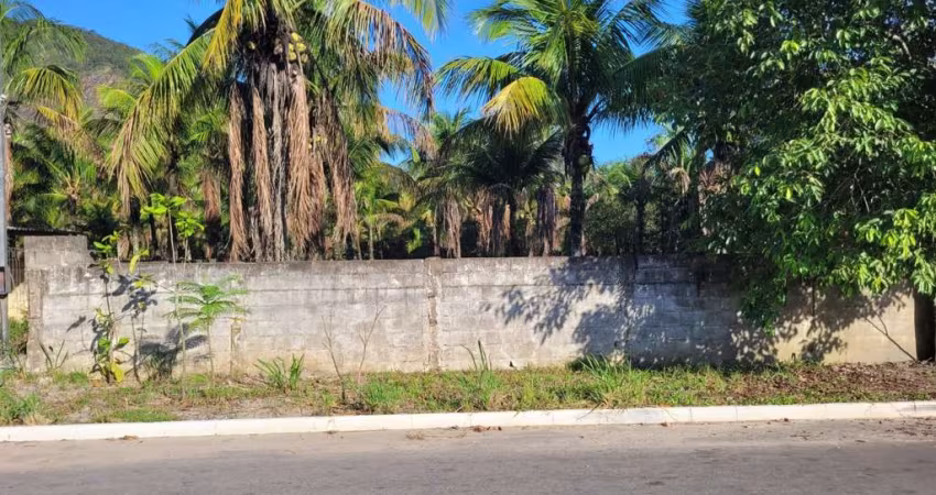 TERRENO COMERCIAL -MULTIFAMILIAR(IV035-10)