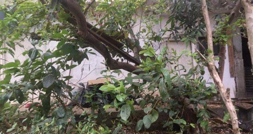 Terreno Jardim Novo Carrão São Paulo/SP