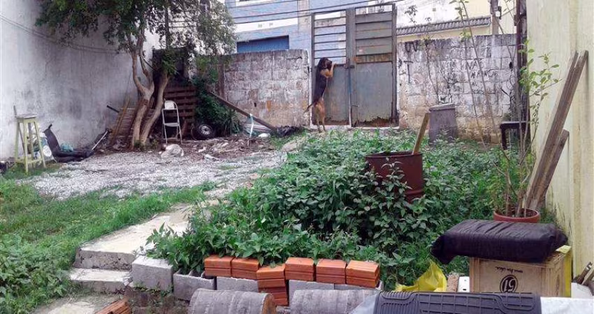 Terreno Vila Ré São Paulo/SP