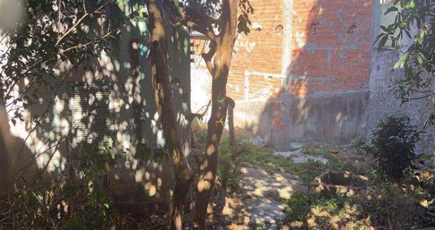 Terreno Jardim Penha São Paulo/SP