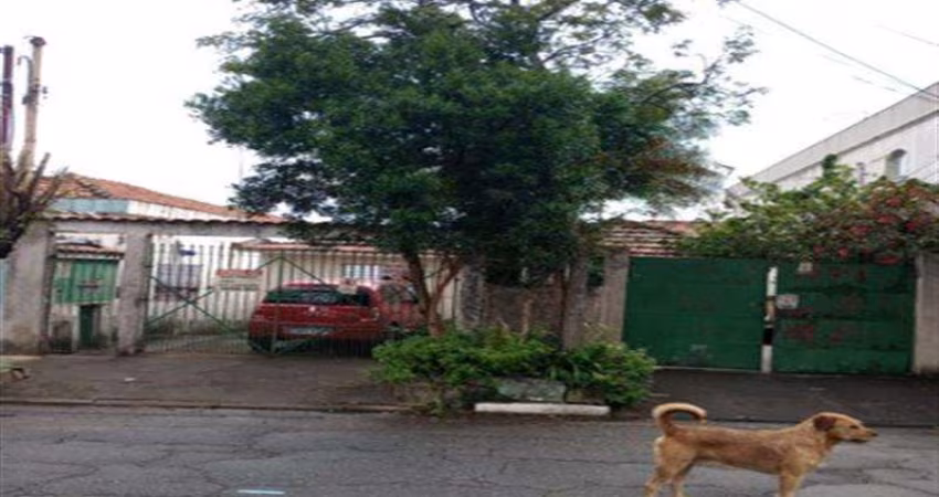 Terreno Vila Antonieta São Paulo/SP