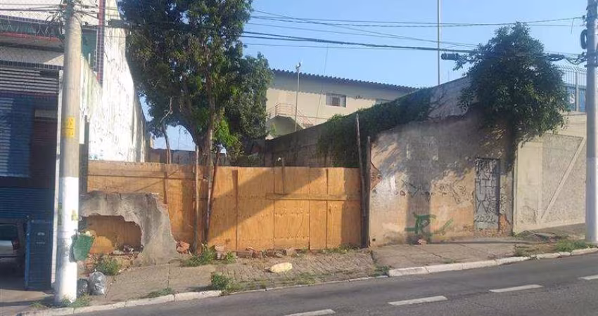 Terreno Vila Rio Branco São Paulo/SP