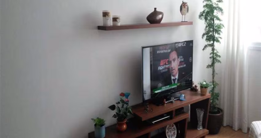 Apartamento Parque São Jorge São Paulo/SP