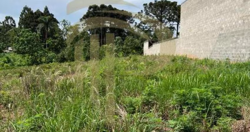 Terreno para Venda em Ponta Grossa, Gralha Azul