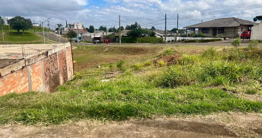Terreno New Garden