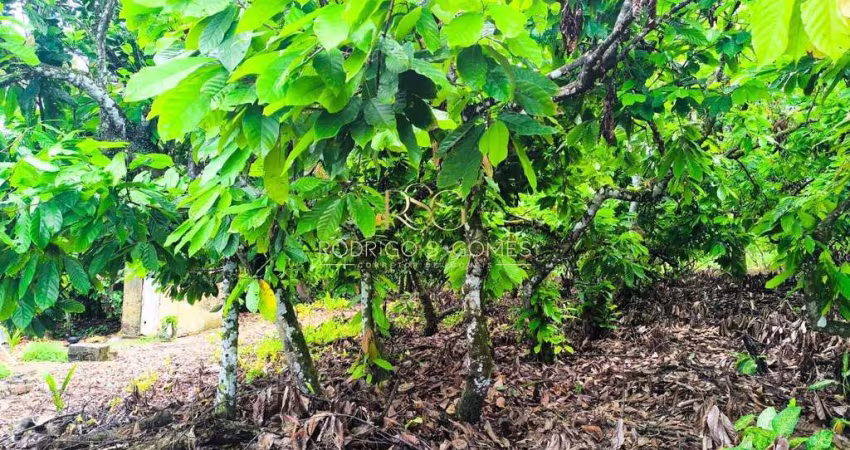 Fazenda de Cacau, Una/BA