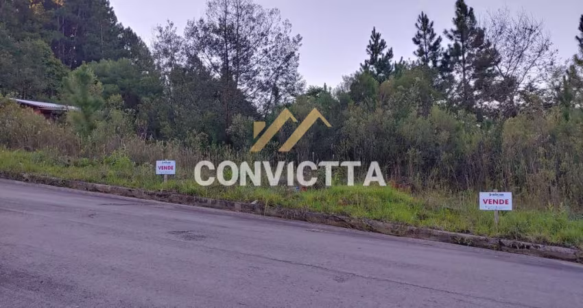 TERRENO PARA VENDA NO BAIRRO BELA VISTA