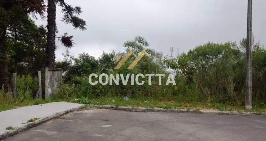 Terreno à venda na Vila Verde, Caxias do Sul 