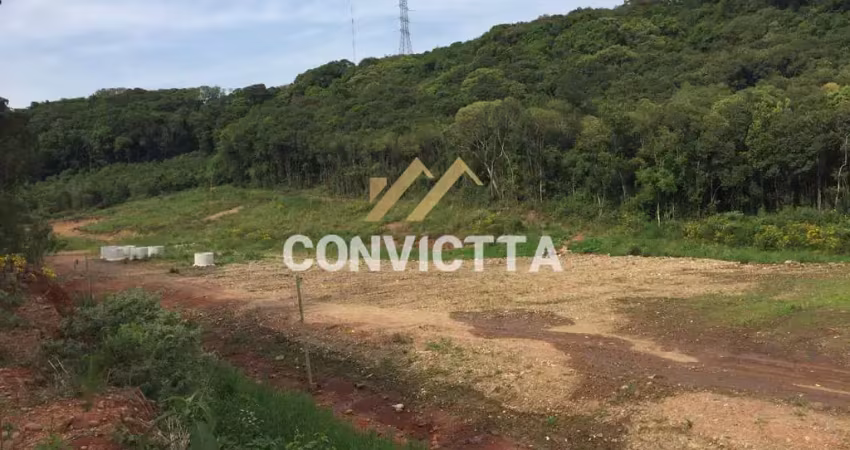 Terreno à venda no Linha 40, Caxias do Sul 