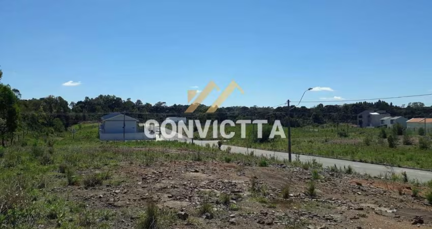 TERRENO PARA VENDA NO BAIRRO BELA VISTA