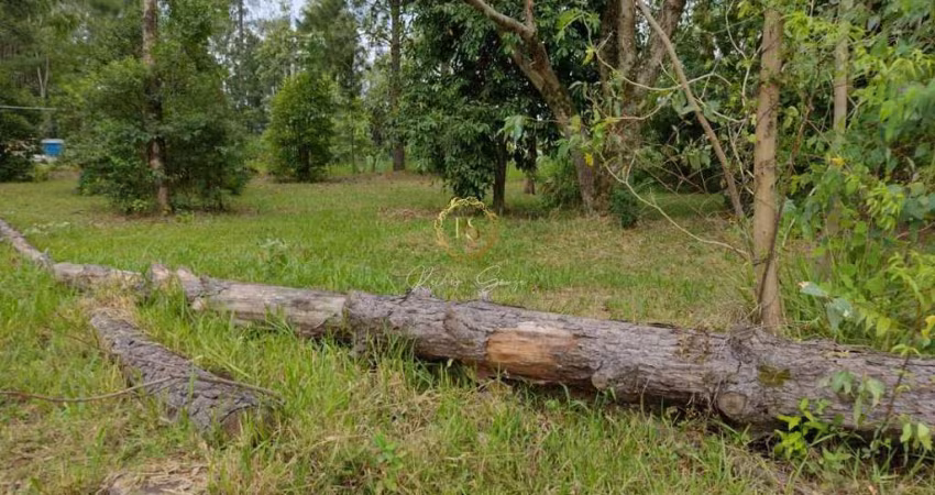 TERRENO DE 300mt², BERTO CÍRIO
