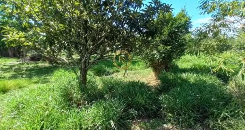 TERRENO 500 mt², BAIRRO CAJU