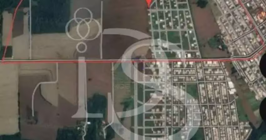 Área para loteamento em Arapongas de 12 alqueires, próximo Conjunto Palmares