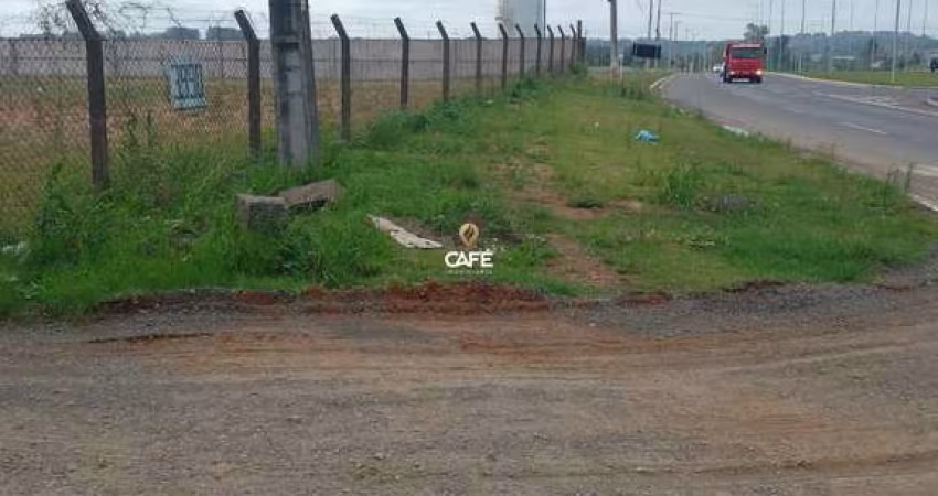 Excelente oportunidade para locação terreno plano em frente a BR 392 medindo 30x