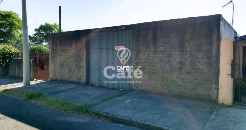 Terreno 10 x 50 m - Bairro Parque Pinheiro Machado