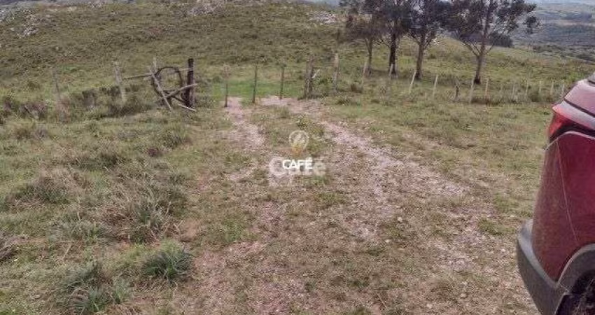 Atenção pecuarista área de pecuária em Caçapava excelente localização!