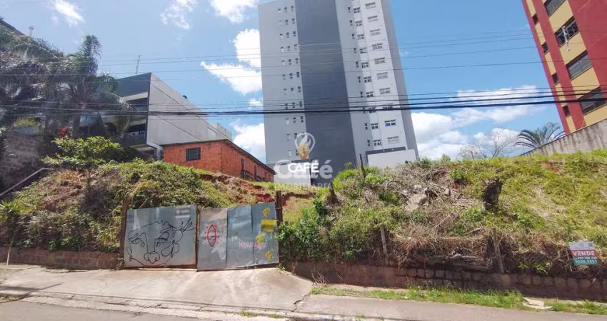 Terreno em ótima localização.