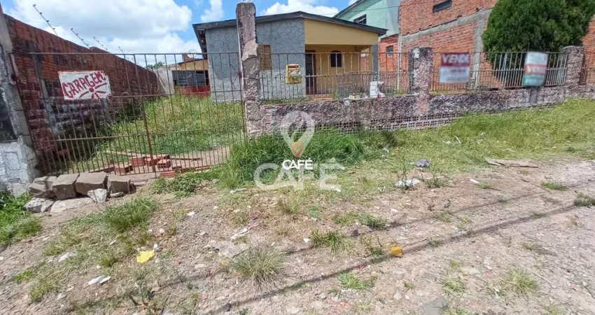Casa Ampla De 3 Dormitórios, Sala Ampla, 2 Banheiros, Cozinha, Área de Serviço,