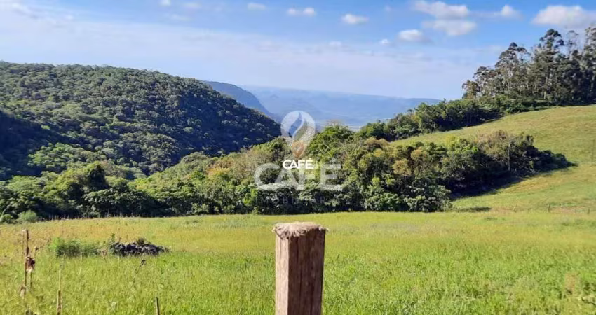 Área na Silveira Martins