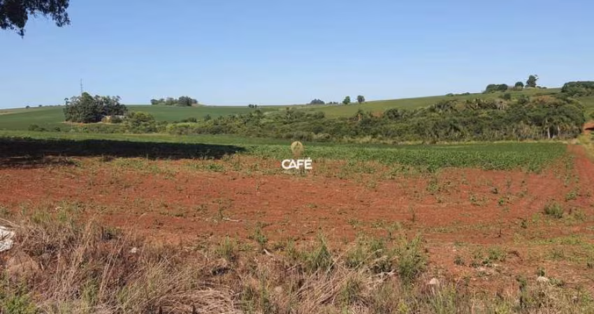 Propriedade rural ideal para Agricultura possui 13 hectares ao lado da BR 158