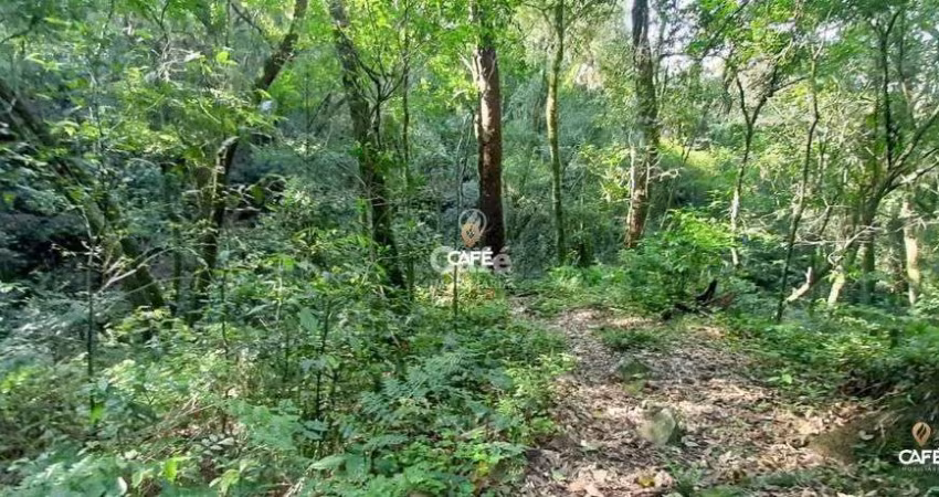 Lote (Área) Em Itaara De 3 Hectares.