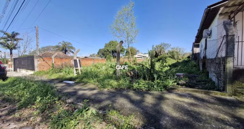 Terreno Amplo em Bairro Tranquilo: Ideal para Sua Casa ou Comércio