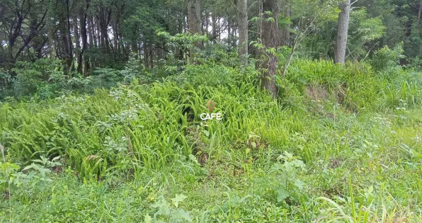 Amplo terreno a venda no bairro Perpétuo Socorro, 1.010,84 m²