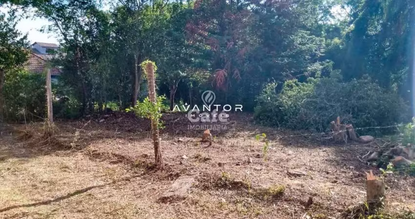 Terreno à venda na Rua Domingues Bertazzo, SN, Chácara das Flores, Santa Maria