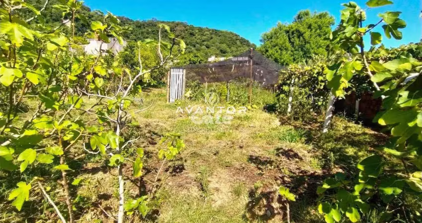 Terreno, 13x28m², nossa senhora do perpétuo socorro