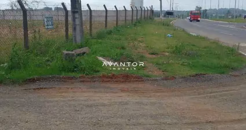 Excelente oportunidade para locação terreno plano em frente a br 392 medindo 30x
