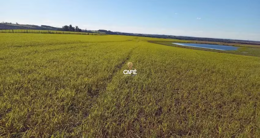 Café Imobiliária Vende 152 hectares