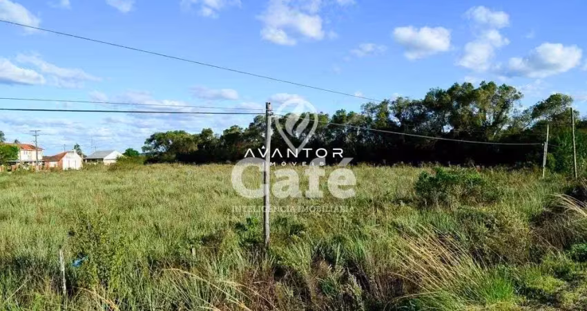 Terreno à venda na Rodovia BR-158, 700, Pinheiro Machado, Santa Maria