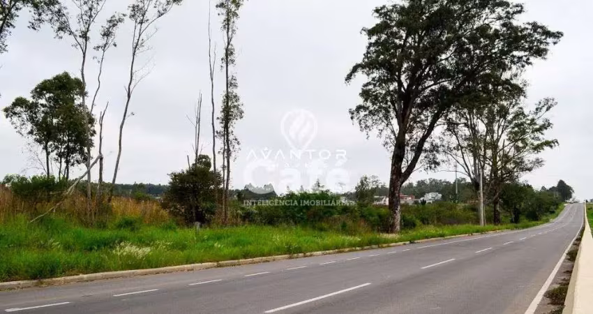 Terreno à venda na Rodovia RST-509, S N, Pé de Plátano, Santa Maria