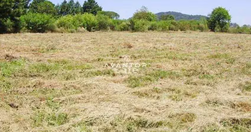 Terreno à venda na Avenida Primeira, 220, Diácono João Luiz Pozzobon, Santa Maria