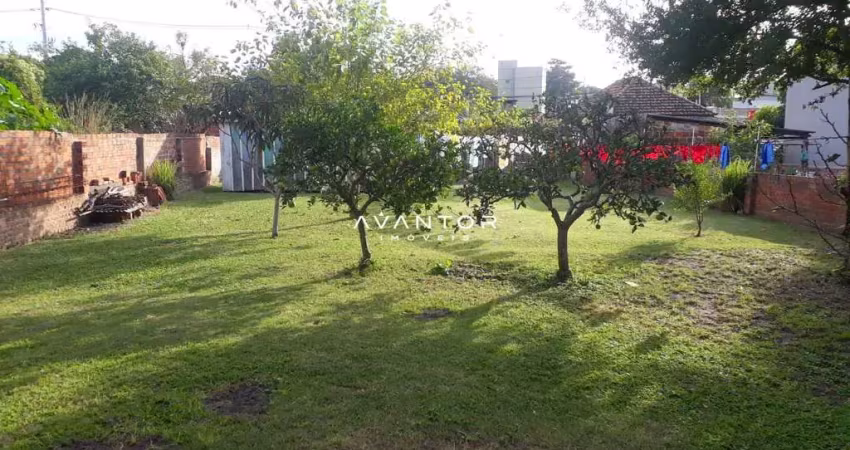 Terreno amplo de 598 m² , em ótima localização na avenida liberdade.