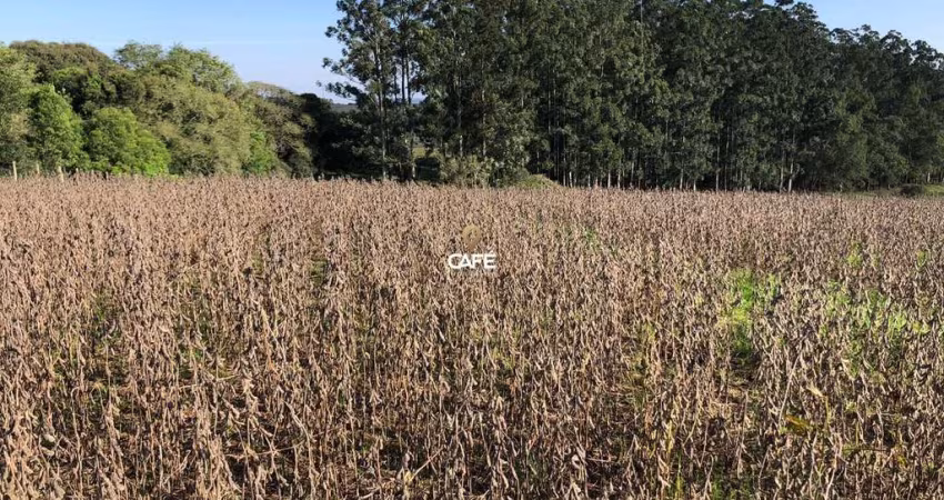 Área Rural 190 ha