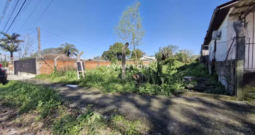 Terreno amplo em bairro tranquilo: ideal para sua casa ou comércio