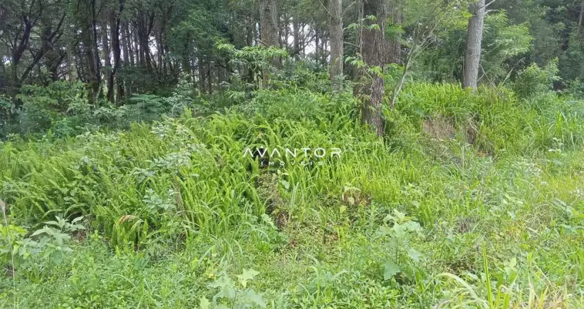 Amplo terreno a venda no bairro perpétuo socorro, 855 m²