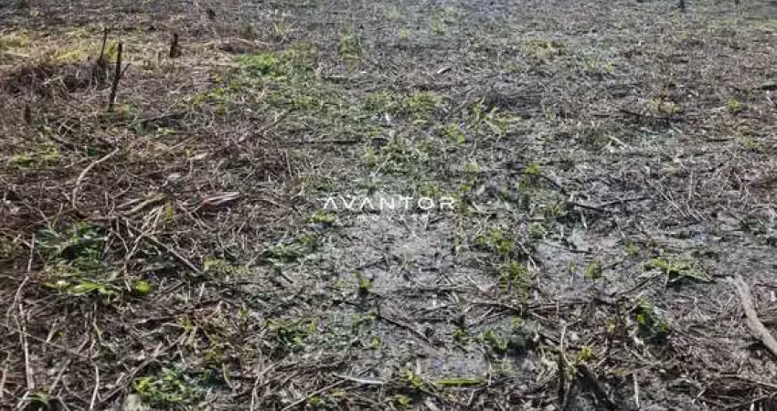 Terreno à venda na Rodovia BR-287, 00, Cerrito, Santa Maria