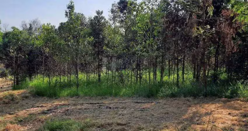 Chácara / sítio à venda na Área Rural de Limeira, Limeira 