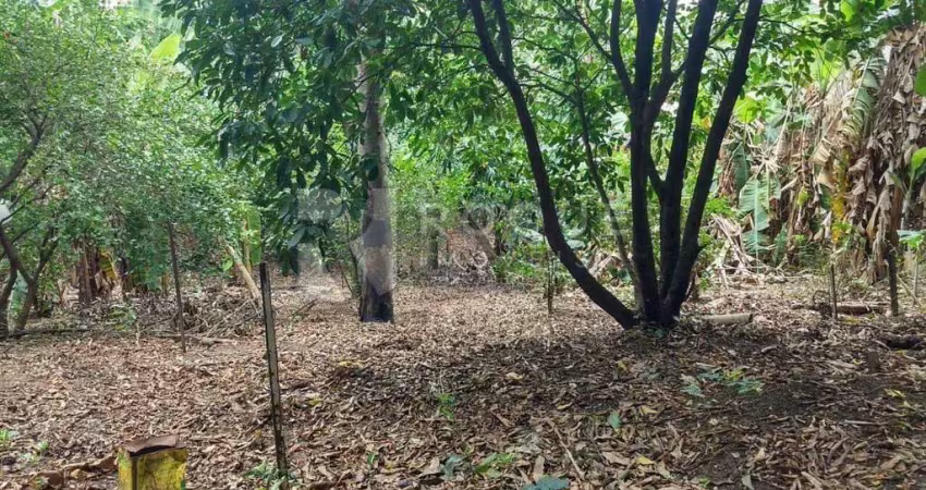 Casa com 2 quartos à venda na Vila Gioto, Limeira 