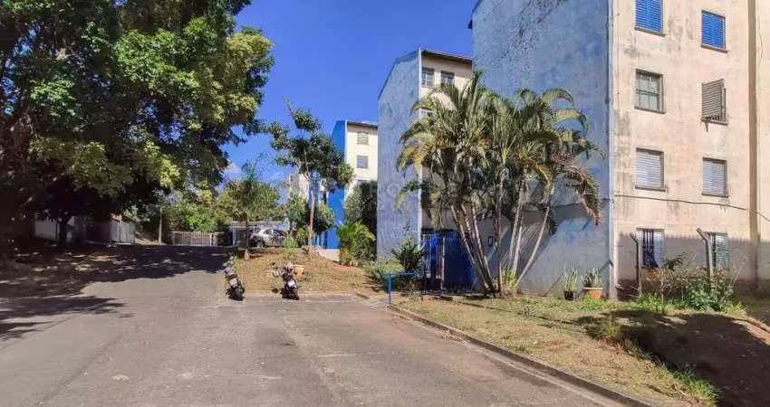 Apartamento para aluguel no bairro jardim olga veroni