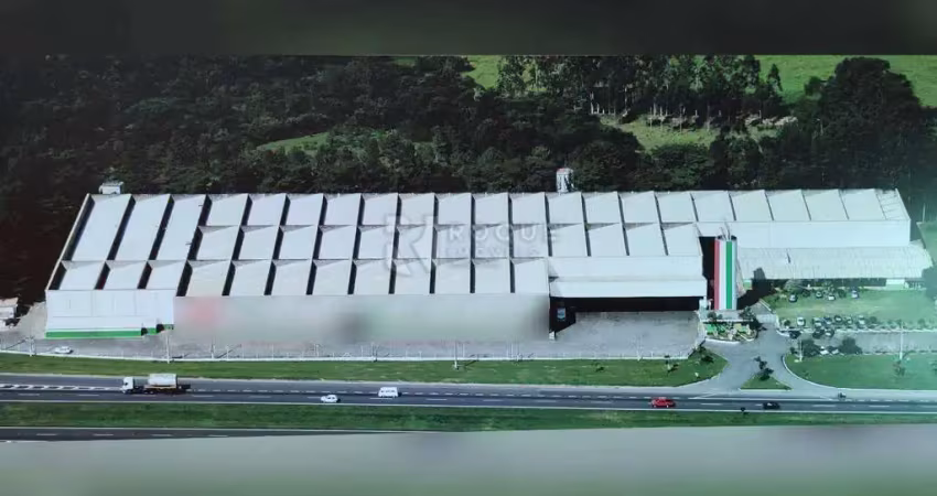 Barracão / Galpão / Depósito para alugar no Loiolas, Limeira 