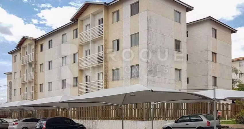 Apartamento para aluguel no bairro jardim parque novo mundo