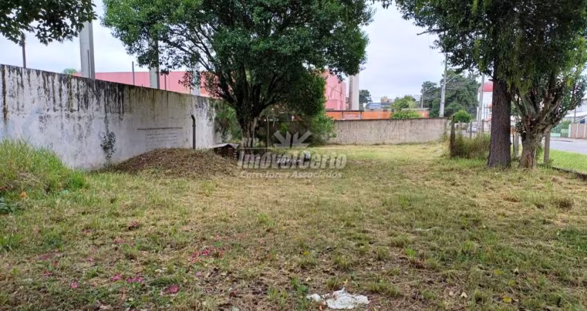 Terreno comercial à venda na Rua Todos os Santos, Weissópolis, Pinhais