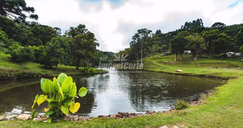 Chácara / sítio com 8 quartos à venda na Est Pedreira - Vl - Corrego Fundo, Centro, Tijucas do Sul