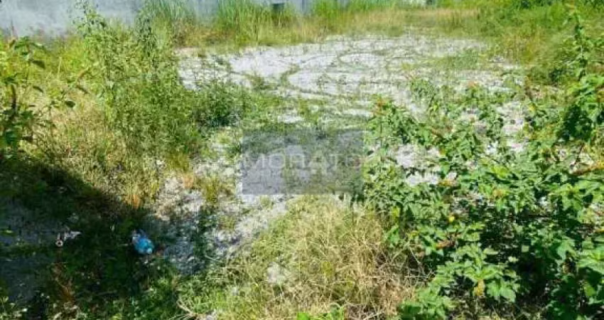 Terreno à venda na Avenida Heráclito Mourão de Miranda, --, Castelo, Belo Horizonte
