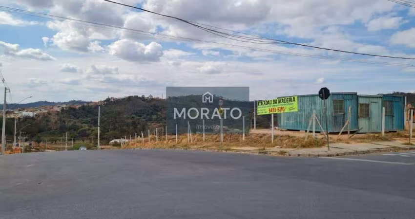 lote Disponível para venda lote de equina