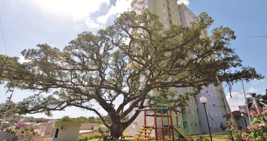 Apartamento 2 dormitórios